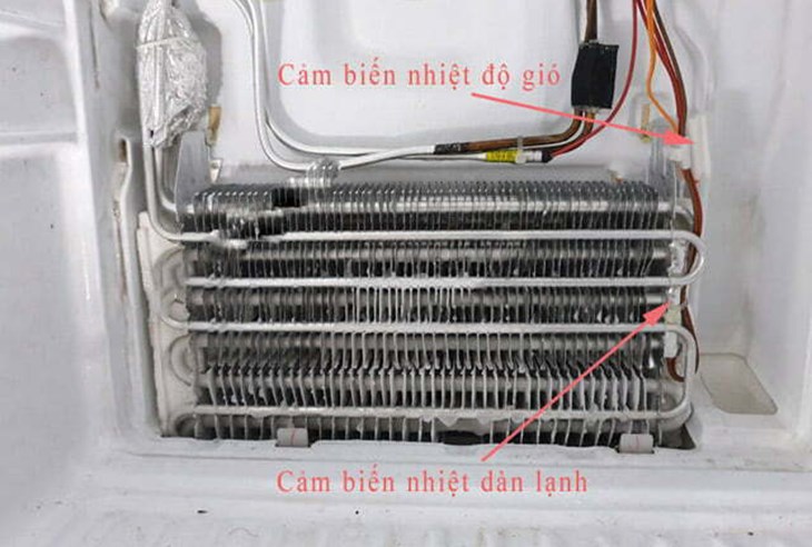 Thay thế linh kiện sò lạnh, cầu chì nhiệt hệ thống xả đá tủ Hitachi Side by Side